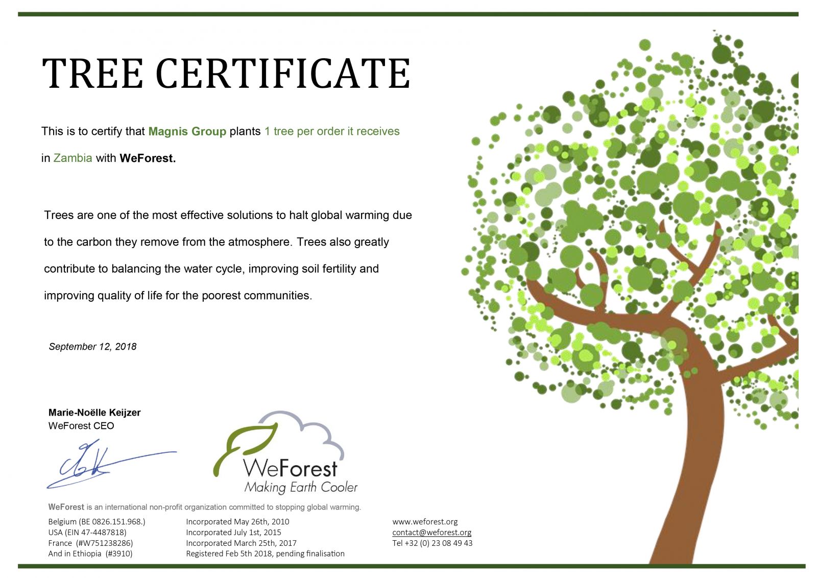 Our WeForest certificate